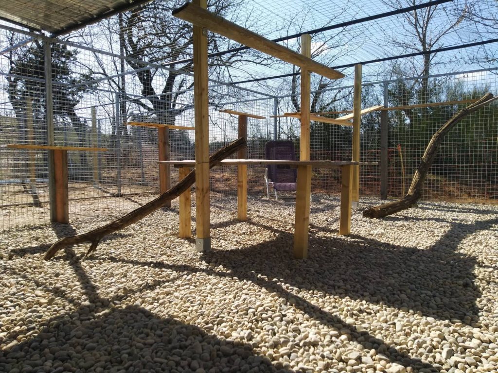 Extérieur de nos adultes