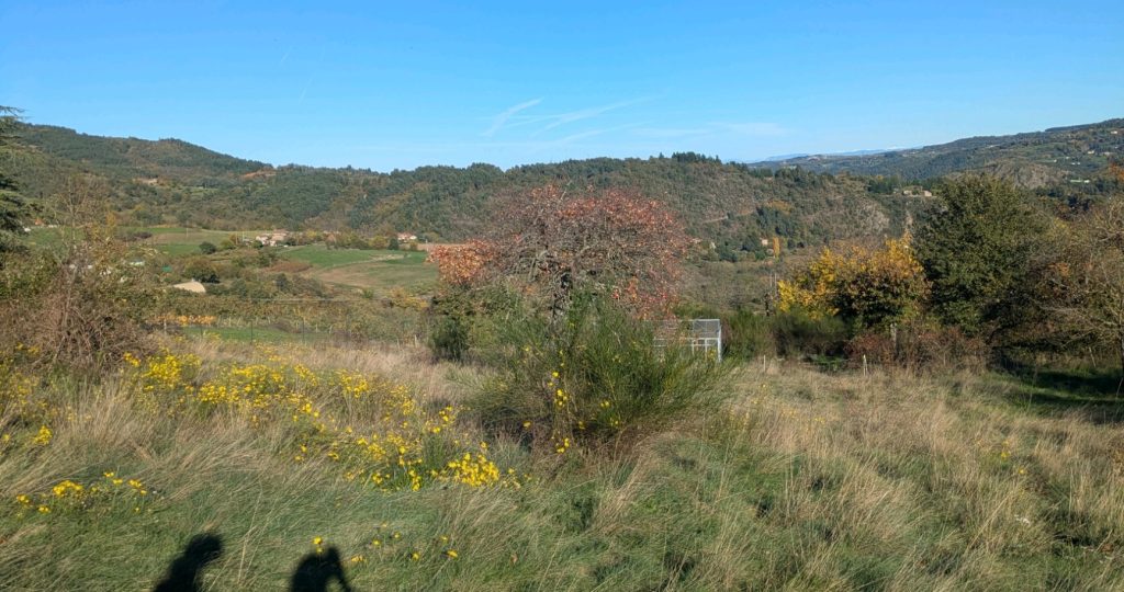 L'environnement de la chatterie