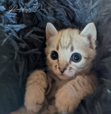 278895723_876222157107855_7874082294377242867_n