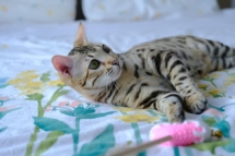 329681592_716343030079311_6067773450448190583_n