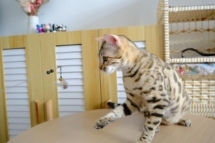 329918010_915132199493975_1698219592776311424_n