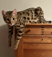 330363328_1160813184579943_5598364219310032998_n