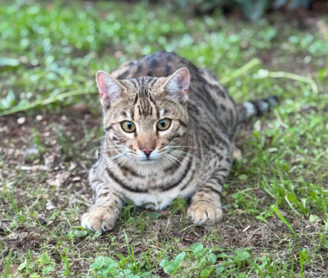 34247fe0-30a9-4420-9156-394f2e939f42