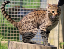 347446441_759059082366144_5451384794374711790_n