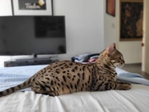 354590957_10230672216293609_1105218817213209055_n