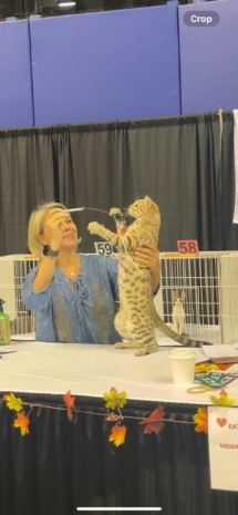 380459112_876355190378893_7063652975404231254_n