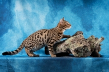 400769433_868635198263838_1708833137882605777_n