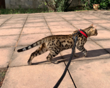 421319332_2145828499099372_7870309885739057461_n