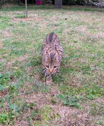 421799415_916146396376736_8232559145886517817_n