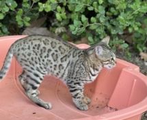 465c5ea9-0505-4629-8525-a8e96515bd10