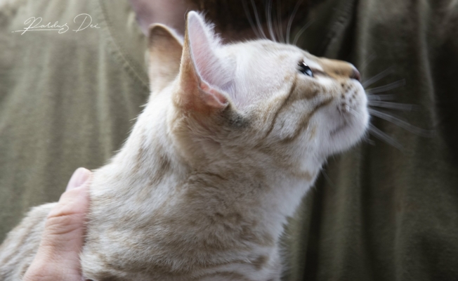 471036074_979995927276447_8230607219523519958_n