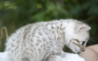 471370722_980006210608752_7184823074786865659_n