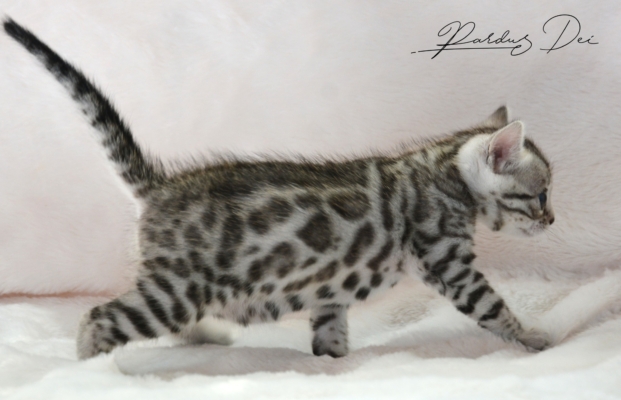 472880745_991634606112579_4458456307026577805_n