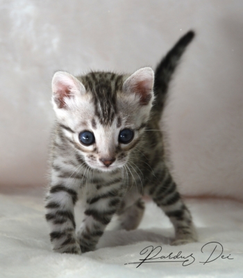 472940148_991634896112550_3219909625066465905_n