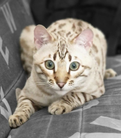 472974190_991636816112358_4140504392942240527_n