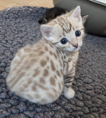 473071285_992252512717455_1295881922263329356_n