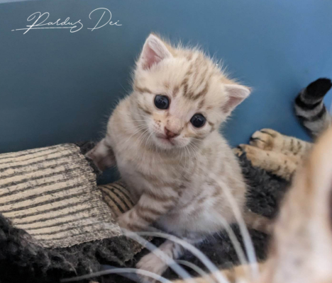 473239780_991637012779005_4386611435765093937_n