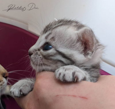 473535960_991631029446270_6754965862375319510_n