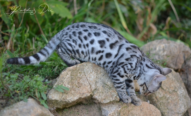 475812432_1006105194665520_3853638557617452443_n