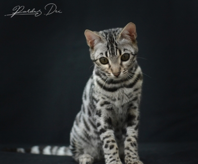 475982608_1006996557909717_7323984670812863592_n