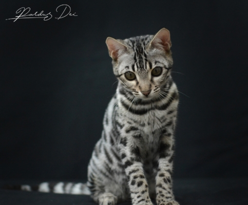 475982608_1006996557909717_7323984670812863592_n