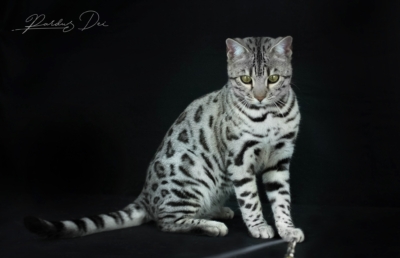 476613131_1012584554017584_7328152669851936365_n