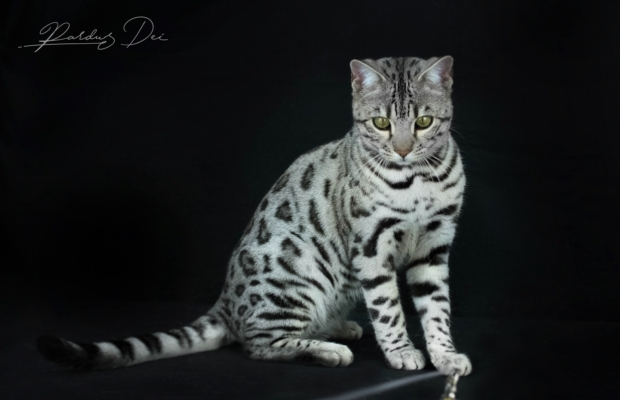 476613131_1012584554017584_7328152669851936365_n