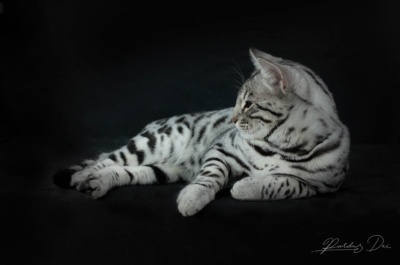 476836909_1012584514017588_1043691220843456730_n