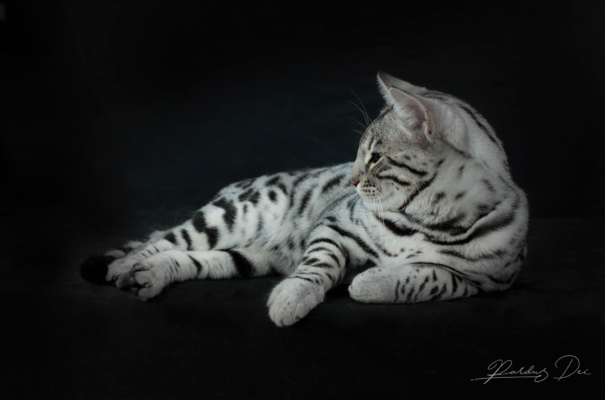 476836909_1012584514017588_1043691220843456730_n