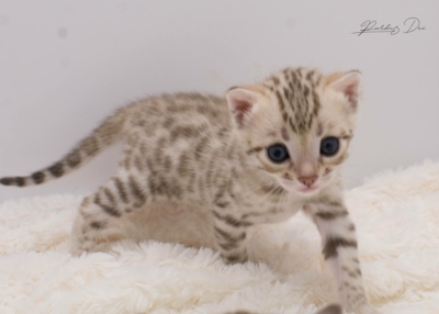 480071545_1014726293803410_8594362232660551133_n