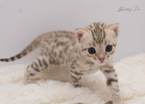 480071545_1014726293803410_8594362232660551133_n