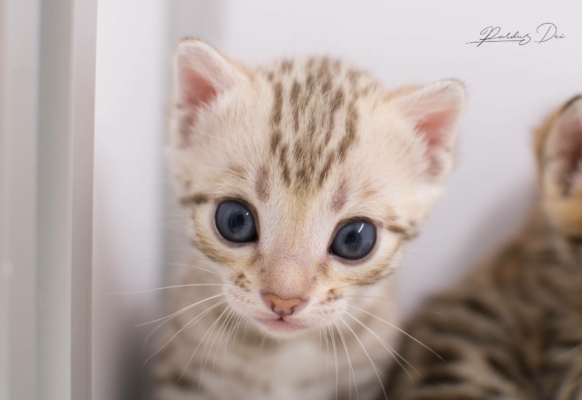 480098011_1014726347136738_384669192687740790_n