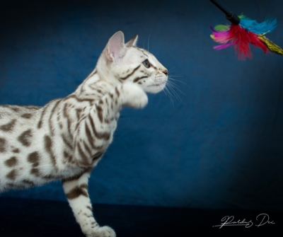 480210971_1015327080409998_1285548923164206468_n