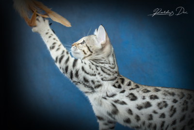 490873932_1057198356222870_2268625670863762436_n