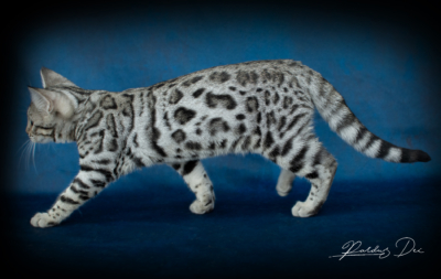 491804381_1057345659541473_9120031638709241404_n