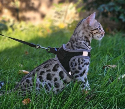 574270383_1204168468192524_3105862017644168592_n