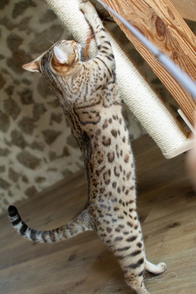 Xallulah 10