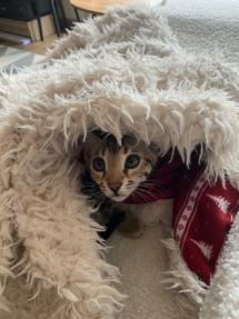 WhatsApp_Image_2025-05-28_at_14.51.13