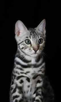 WhatsApp_Image_2025-06-11_at_16.54.18