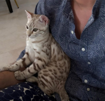 WhatsApp_Image_2025-06-18_at_17.54.48