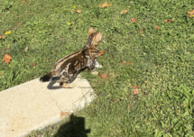 d6ab9ecf-3121-4862-8fbb-557298d2b5f6