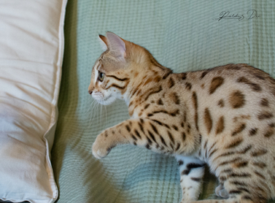 DSC_7057 DSC_7057